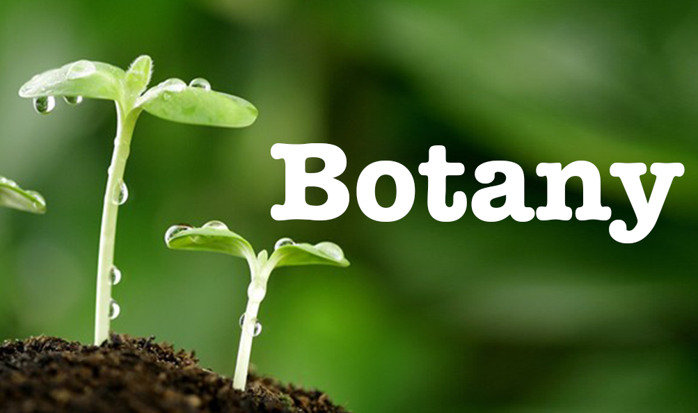 B.Sc Botany department